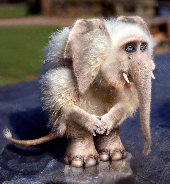 Андрей Широков