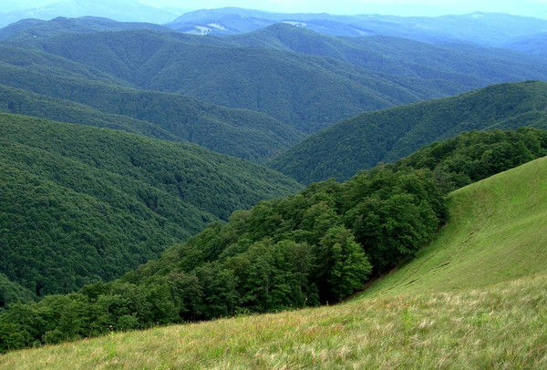Гу Мчс Самара Овсивпо