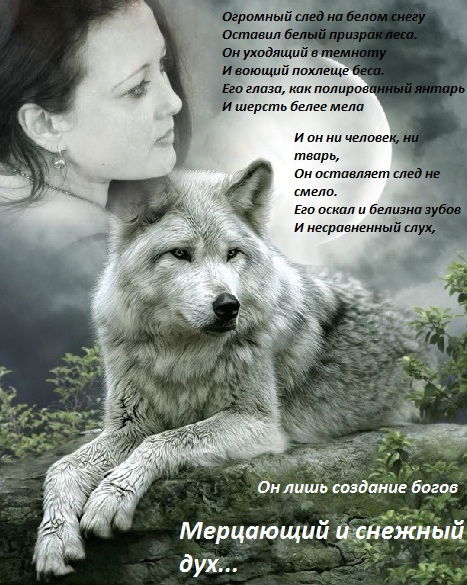 Елена Хохрякова