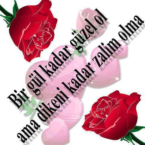 Севда Аrisbaeva