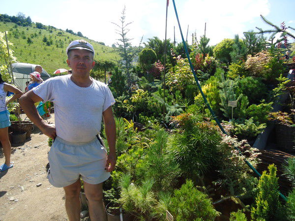 Владимир Мирошниченко