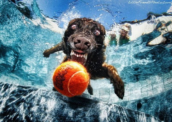 Эдуард Ваисов