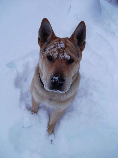Берик Адебаев