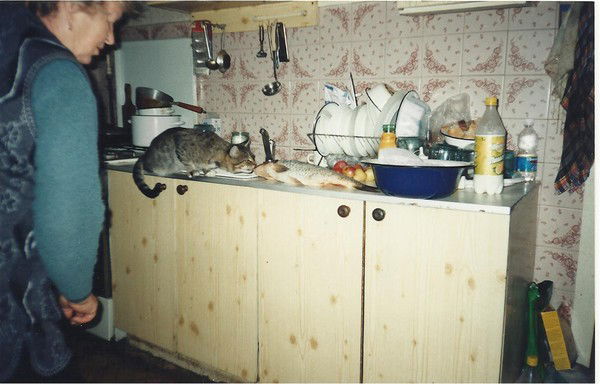 Юрий Михеенко