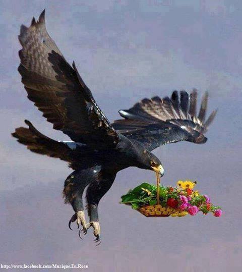 დიდება უფალს