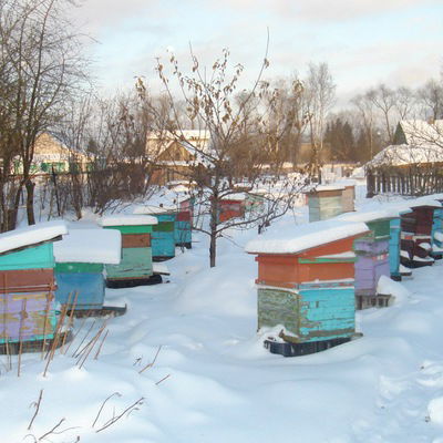 Наташа Михайлова