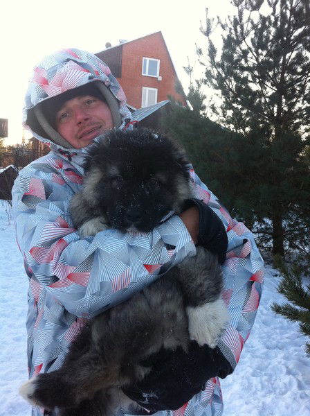 Григорий Чеботарев