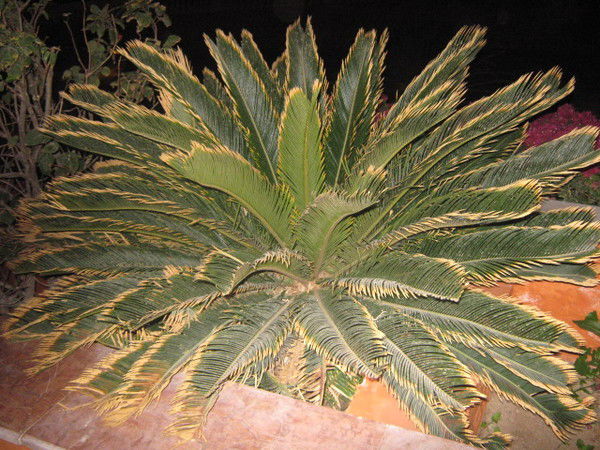 Ирина Матвиенко