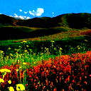 Дмитрий Горбачев