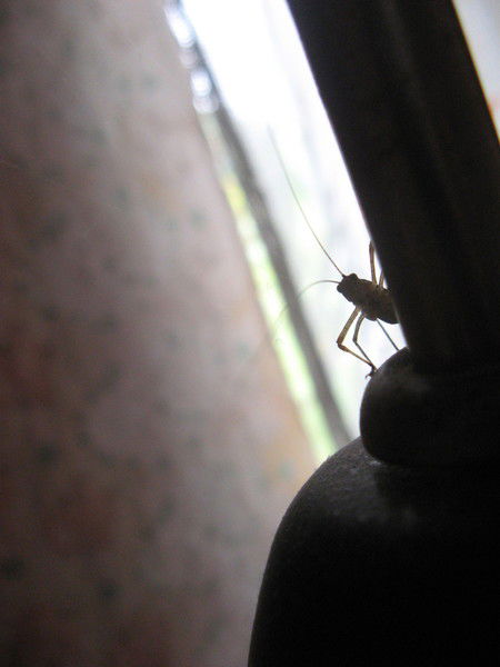 Большаков Денис