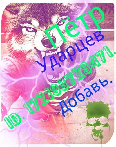 Пётр Ударцев