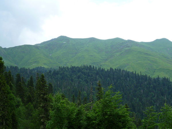 Василий Ефимищев