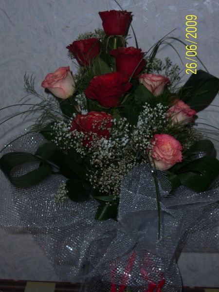 Елена Мелекесова