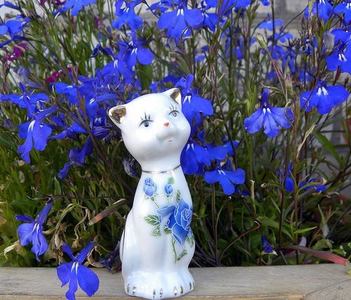 Елена Мигалкина