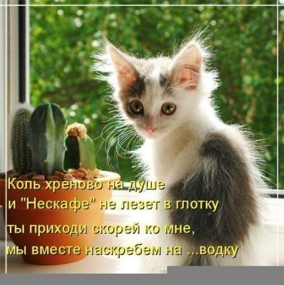 что делает тридцати килограммовый воробей на ветке ответ загадку. Смотреть фото что делает тридцати килограммовый воробей на ветке ответ загадку. Смотреть картинку что делает тридцати килограммовый воробей на ветке ответ загадку. Картинка про что делает тридцати килограммовый воробей на ветке ответ загадку. Фото что делает тридцати килограммовый воробей на ветке ответ загадку