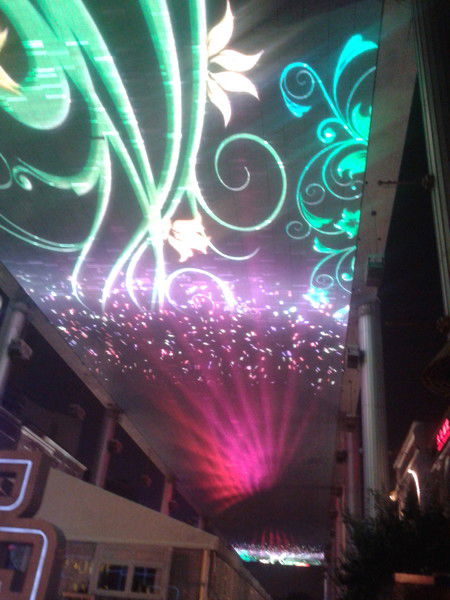 Людмила Фатеева