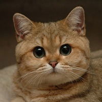 Александр Слепцов