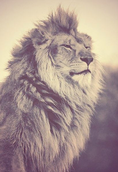 Антон Груздев