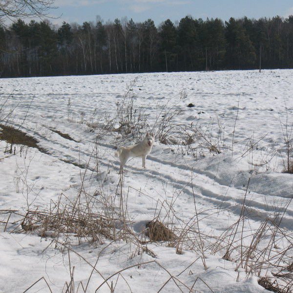 Евгений Олейник