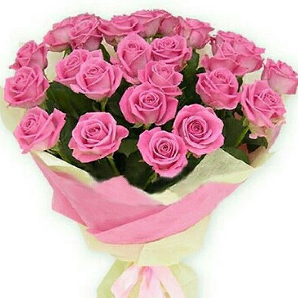 Оксана Горбунова