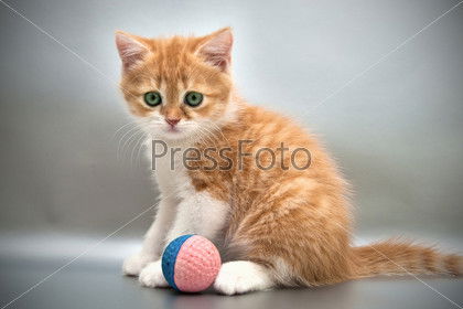 Юлия Протасеня