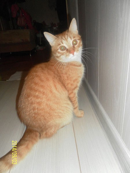 Ольга Гилева