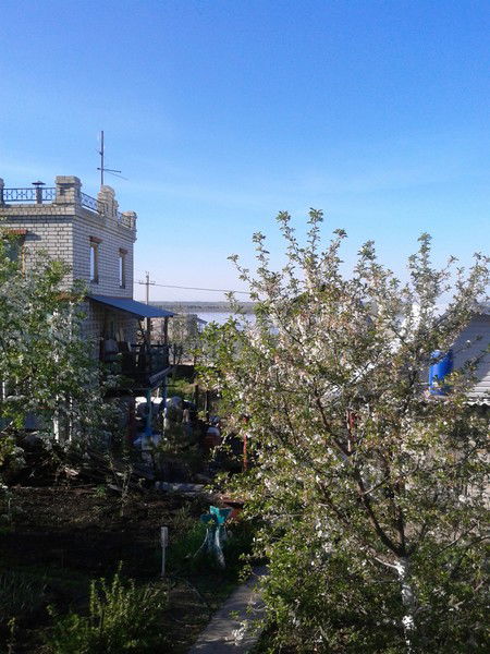 Валерий Живаев