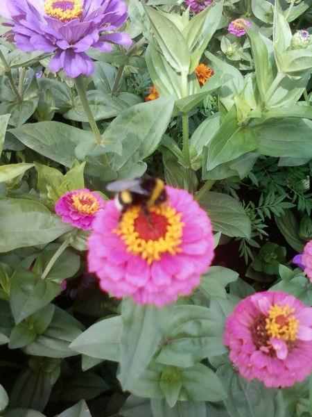 Гузель Баязитова