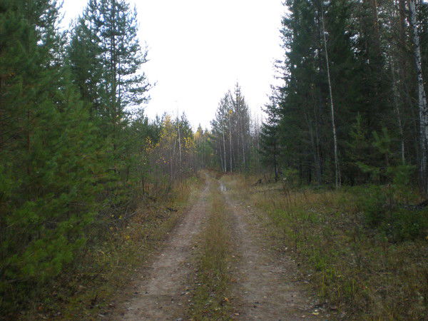 Сергей Тихонов