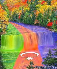 Алима Абдуллаева