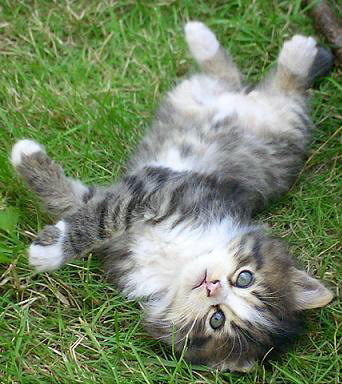 Михаил Устюгов