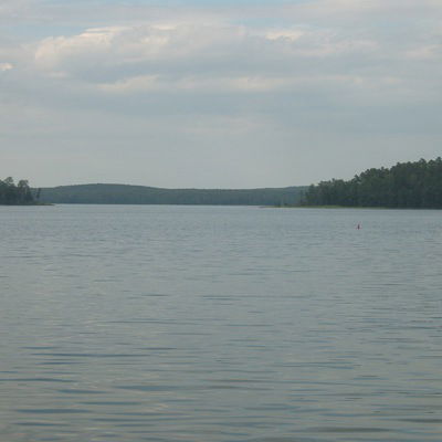 Толя Воробьев