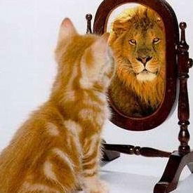 Даша Дорошенко