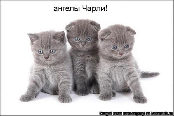 Филатова Арина