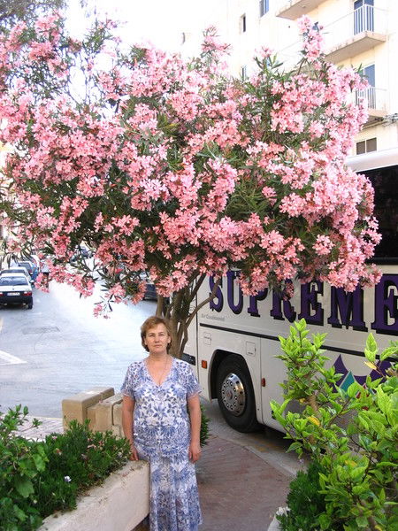 Галина Мусихина