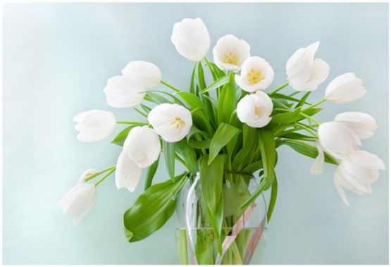 Оксана Тяжельникова