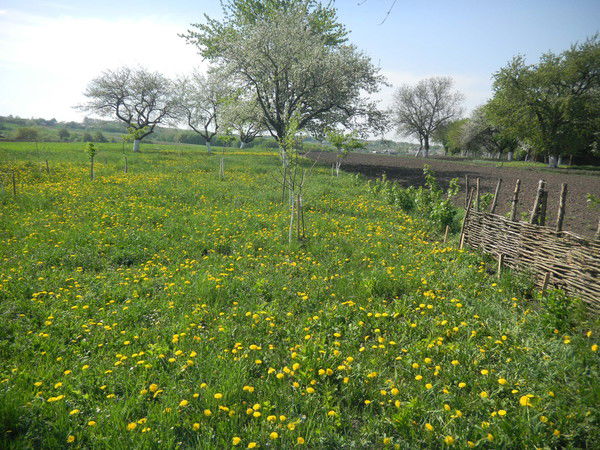 Василий Лукьян