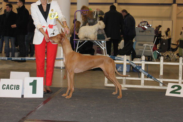 Татьяна Ковалёва