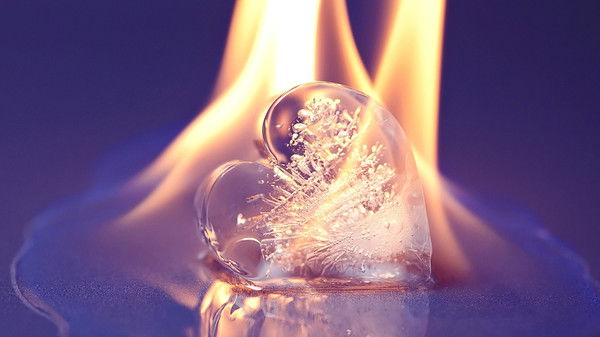 Светлана Корытко