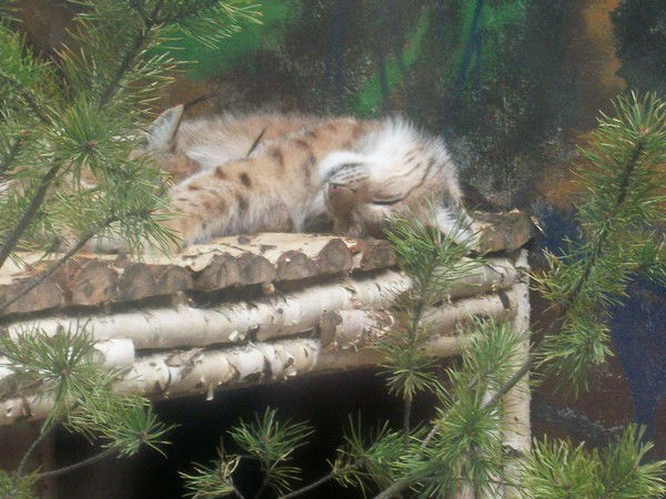 Ольга Хайрутдинова