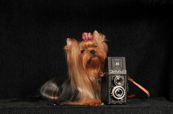 Наталия Костина