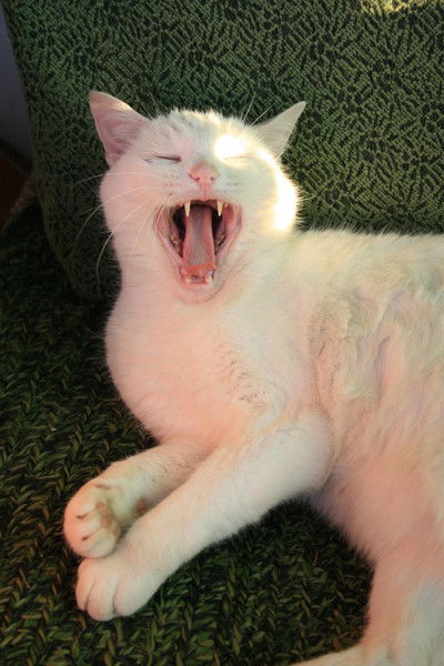 Надежда Полетаева