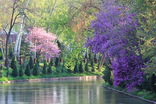 Лилия Олейникова