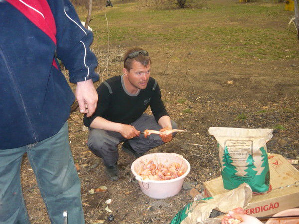 Дмитрий Ничипор