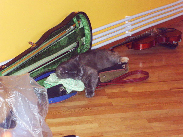 Владислав Неверкла