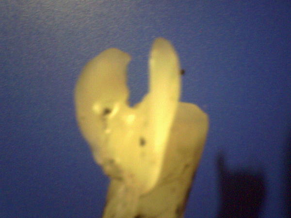 Флюра Насырова