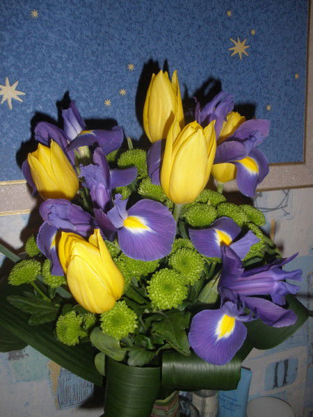 Светлана Барышполь