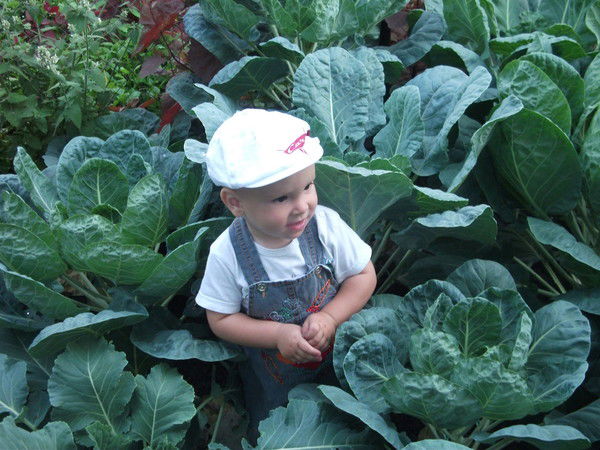 Сергей Колосов