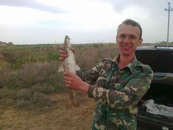 Николай Пестряков