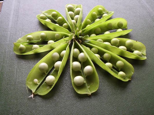 Виталий Свиридов